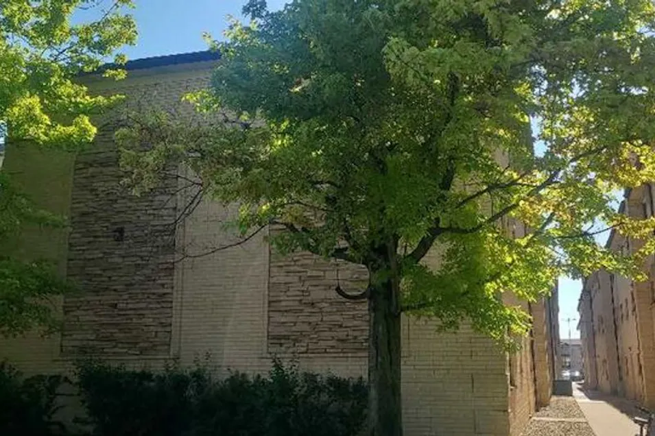 5155 Northeast River Road, Unit 113f Chicago, IL 60656, Cook County