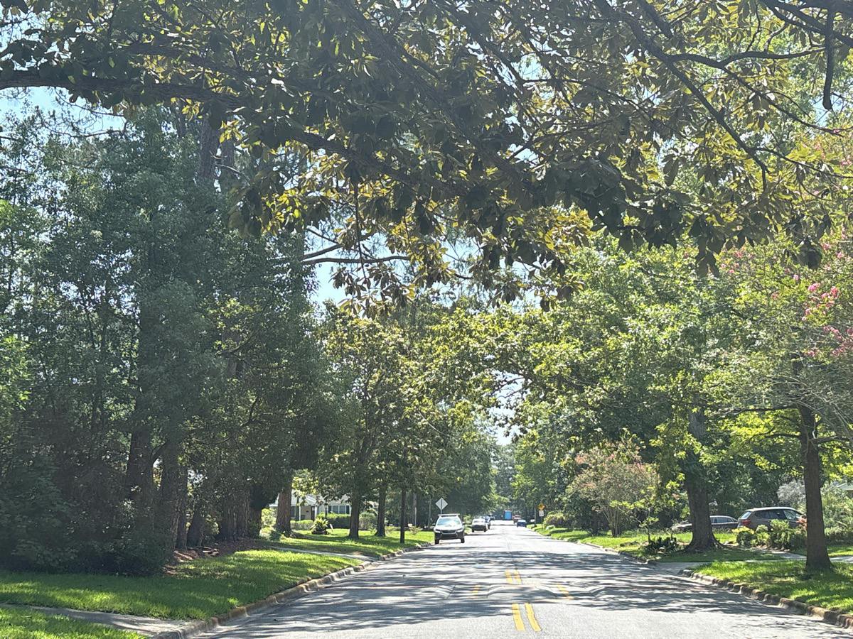66th St, Savannah, GA 31405