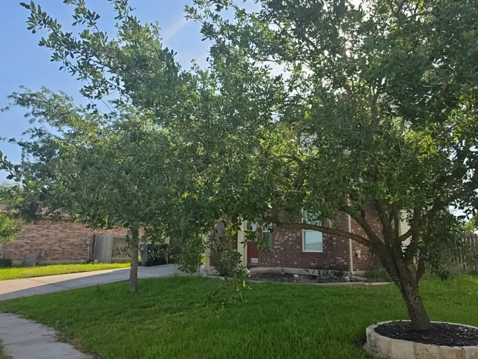 203 Boulder Ridge Dr Cuero, TX 77954, Dewitt County