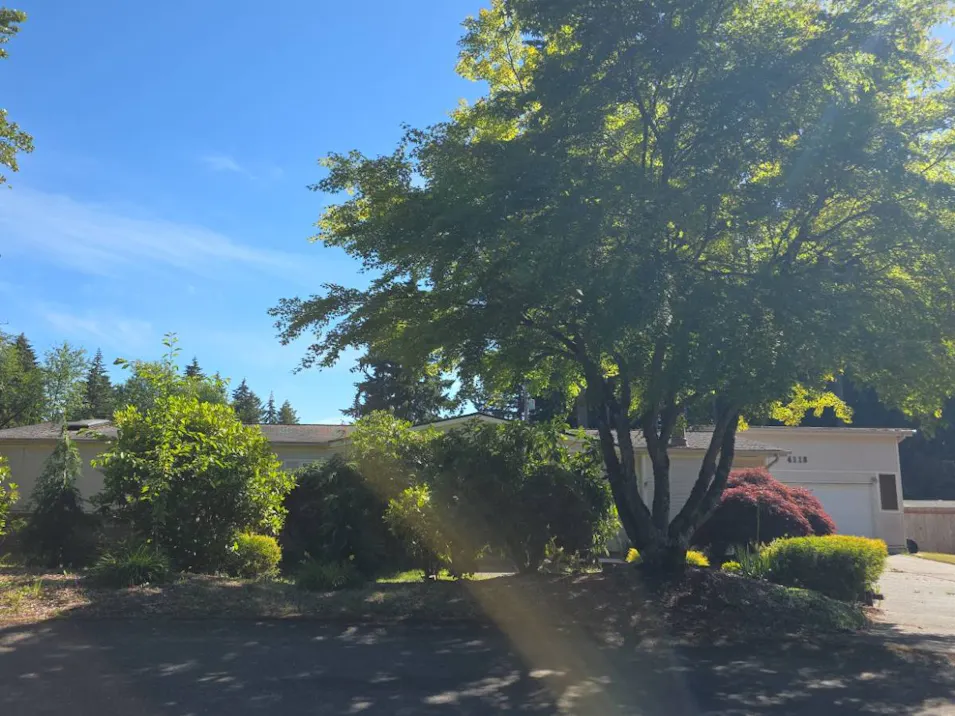 4118 21st Street Pl SE Puyallup, WA 98374, Pierce County