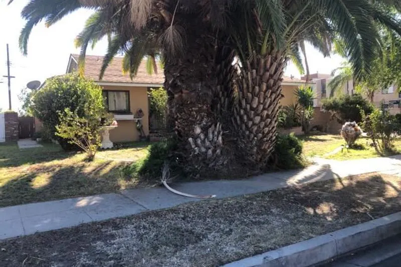 Arminta St, Canoga Park, CA 91304 #1