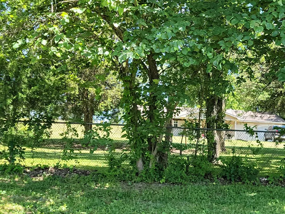 7857 Ripley Rte N Doniphan, MO 63935, Ripley County
