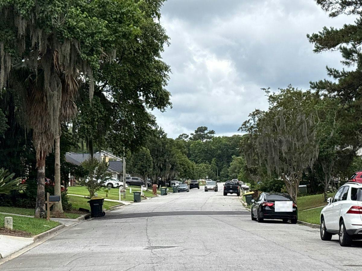 Daveitta Dr, Savannah, GA 31419