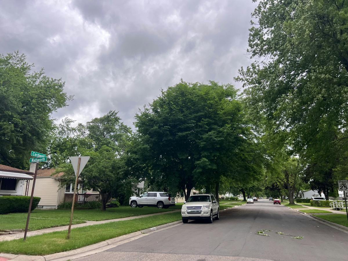 Cardwell St, Livonia, MI 48150