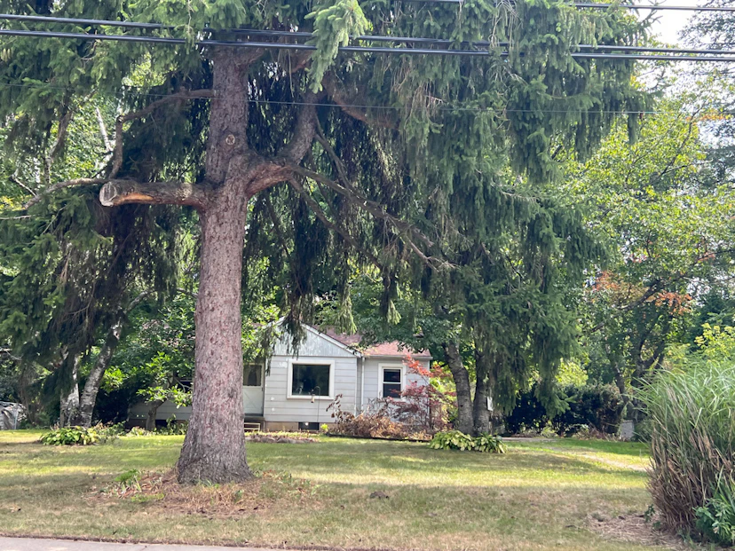 737 S Squirrel Rd