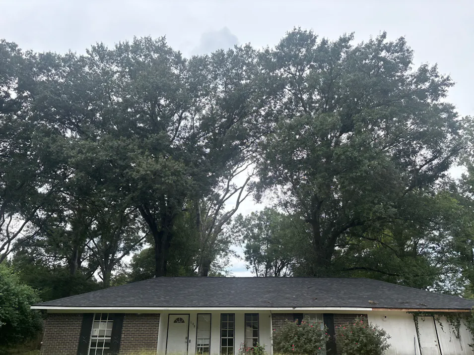 135 Oakridge Drive Jackson, MS 39212, Hinds County