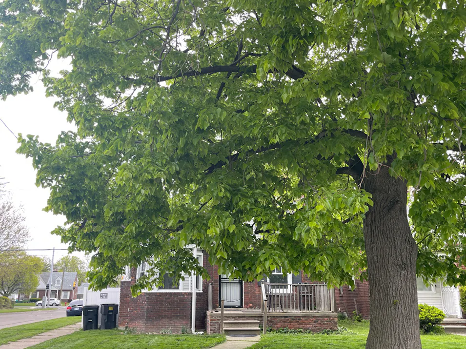 15803 Fordham St Detroit, MI 48205-2947, Wayne County