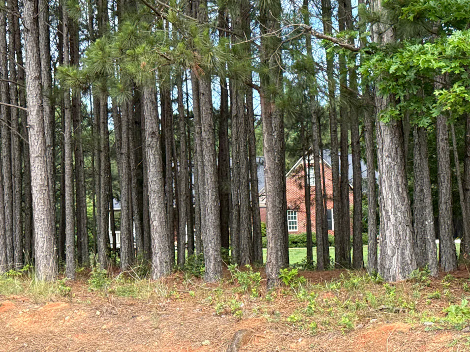 710 Moriah Church Rd Colbert, GA 30628, Madison County