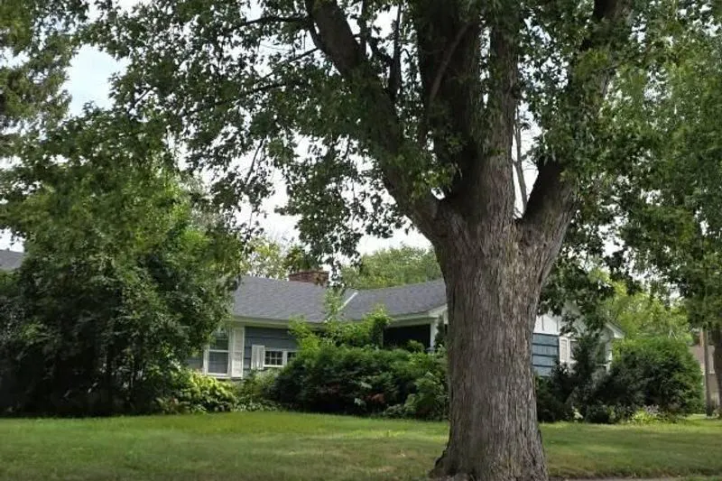 8th Ave, Faribault, MN 55021 #1