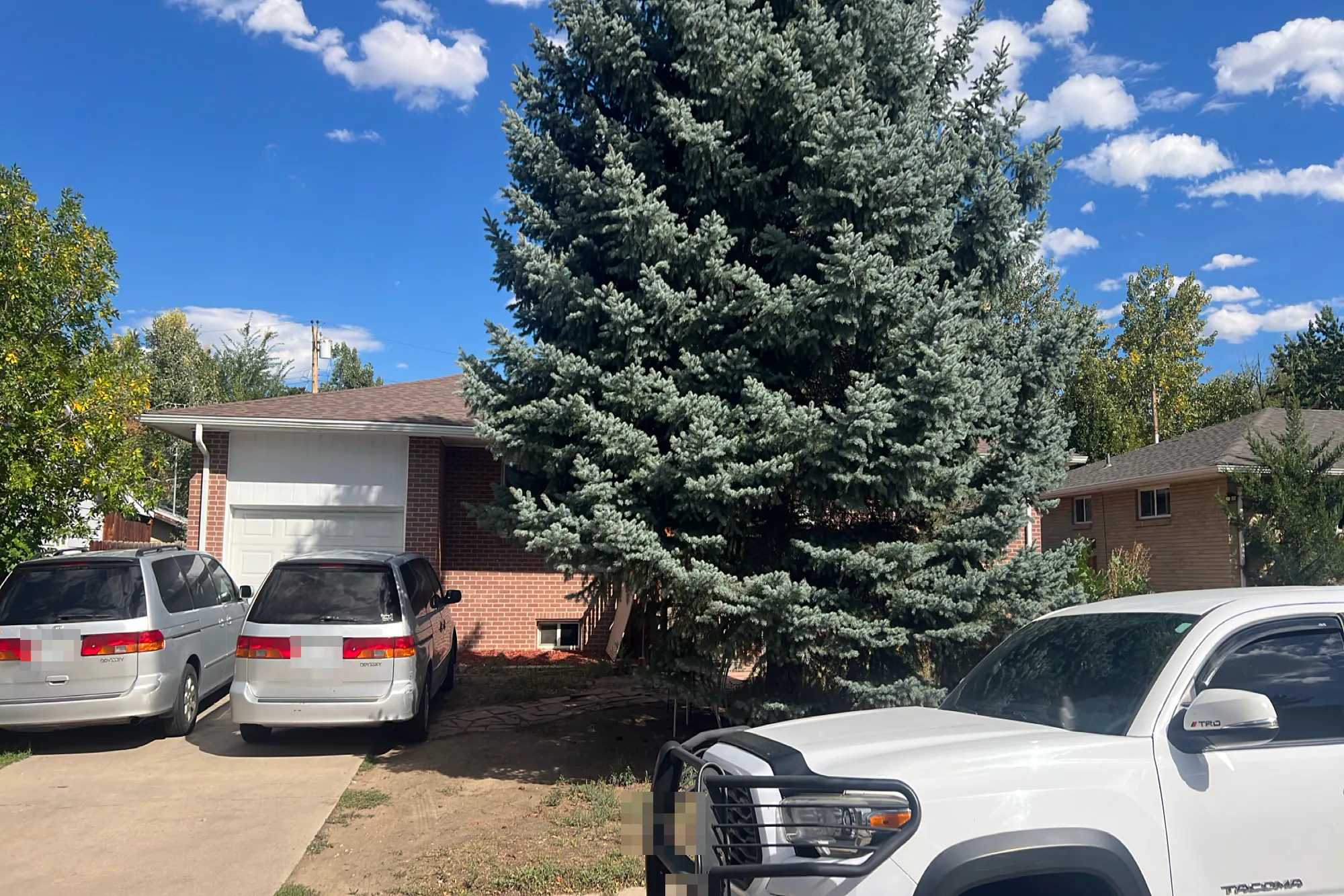 Jewel Dr, Longmont, CO 80501 #1