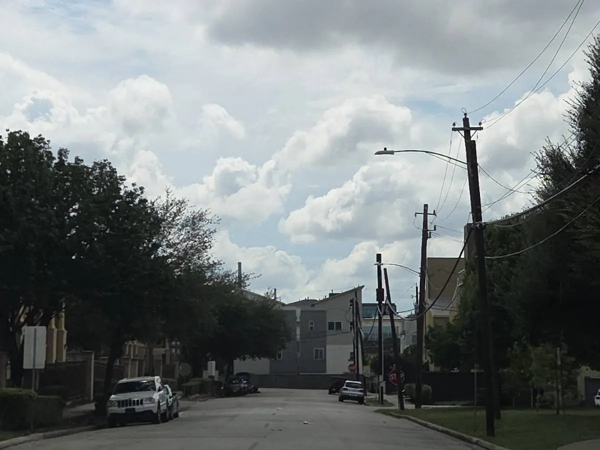 Cline St, Houston, TX 77020 #1