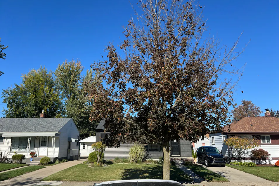33646 Leona St Garden City, MI 48135, Wayne County