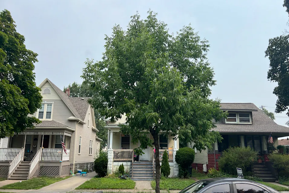 432 Poplar Street Wyandotte, MI 48192, Wayne County
