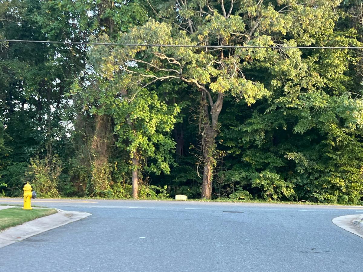 Mallard Way Dr, Charlotte, NC 28216