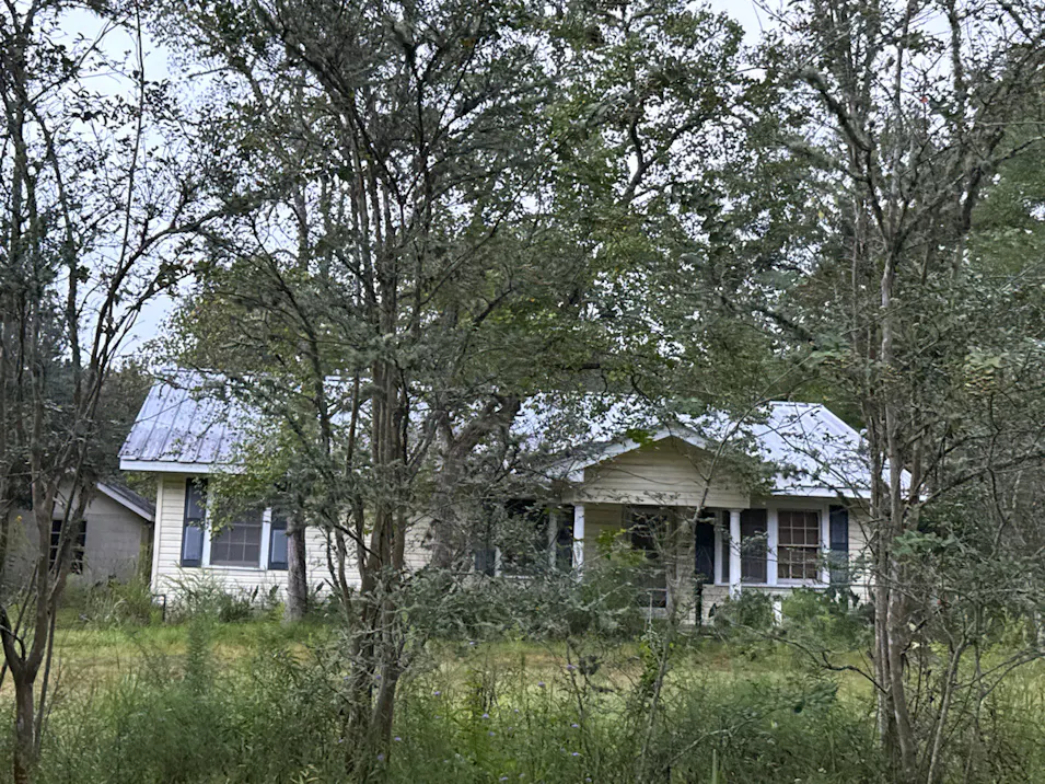 31241 Hwy 190 Lacombe, LA 70445, St Tammany County