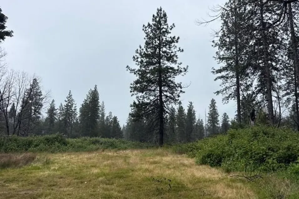 10703 Oroville Quincy Hwy Berry Creek, CA 95916, Butte County