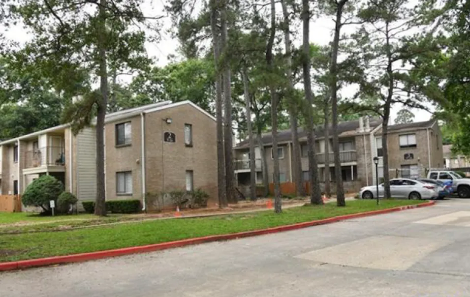 3500 Tangle Brush Drive 28 the Woodlands, TX 77381, Montgomery County