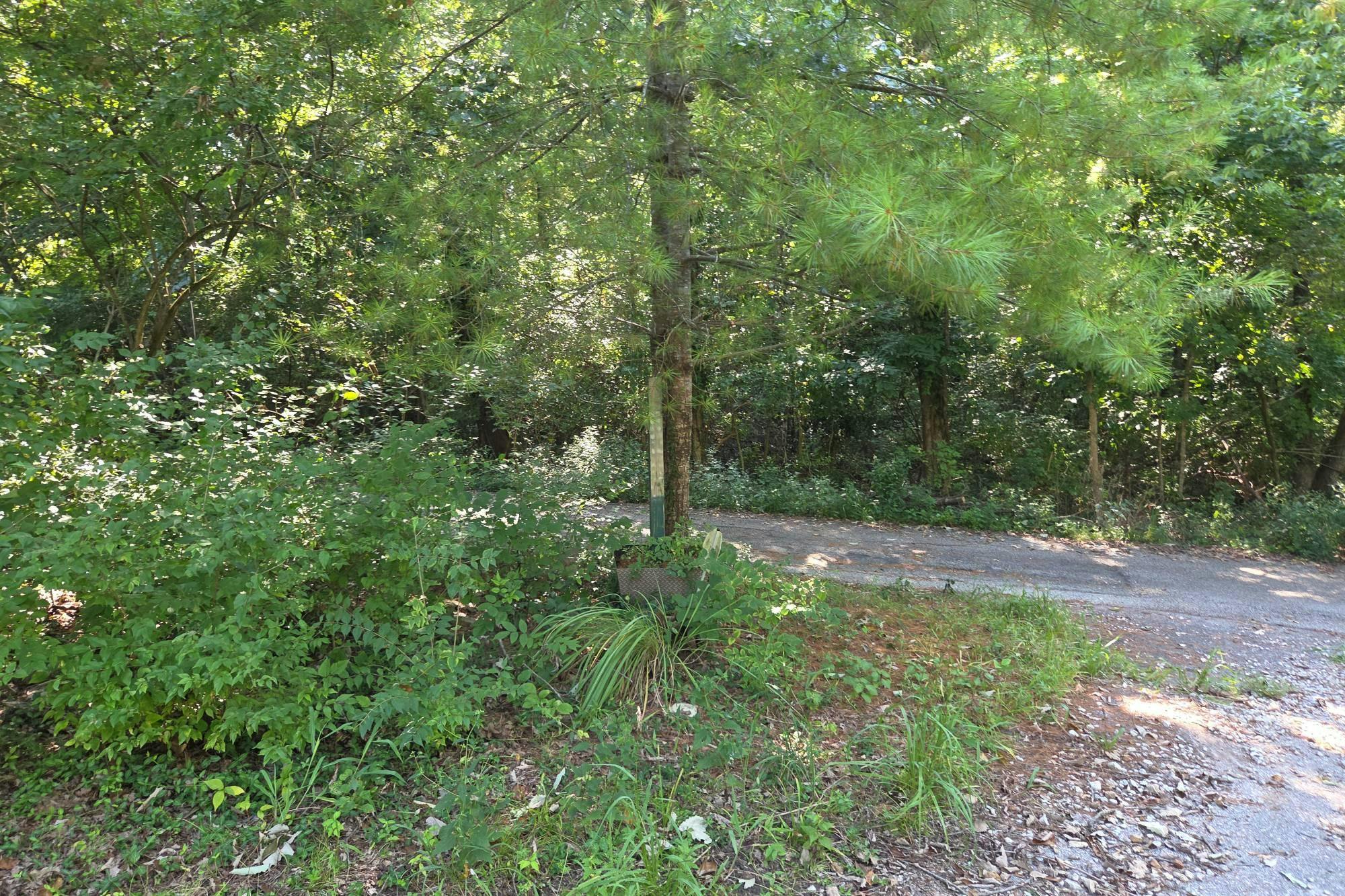 Sherman Dr, Eureka, MO 63025