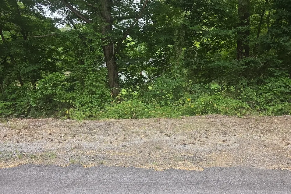 1040 Shady Grove Rd Boaz, AL 35956, Etowah County