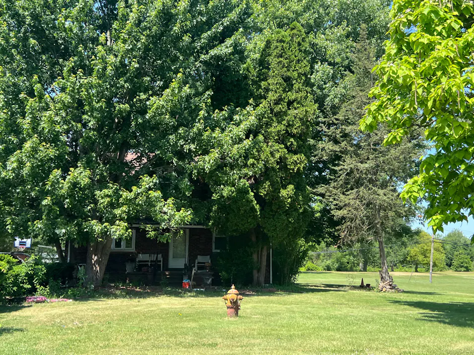 25902 Waltz Rd New Boston, MI 48164, Wayne County