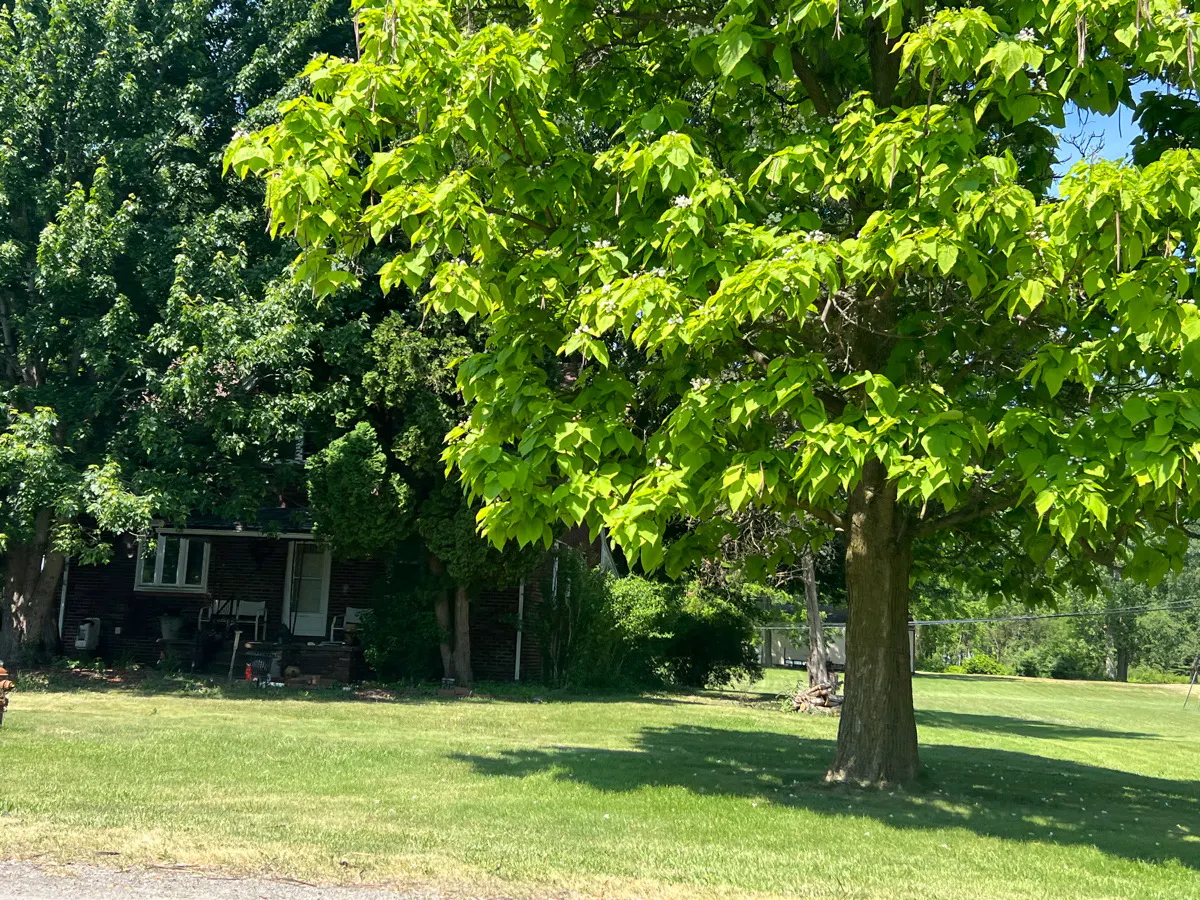 Waltz Rd, New Boston, MI 48164 #1