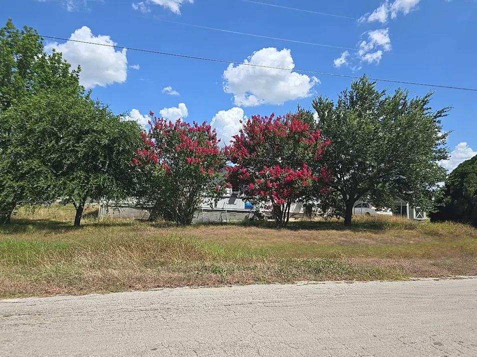 12301 Mustang Mesa Dr Buda, TX 78610, Travis County
