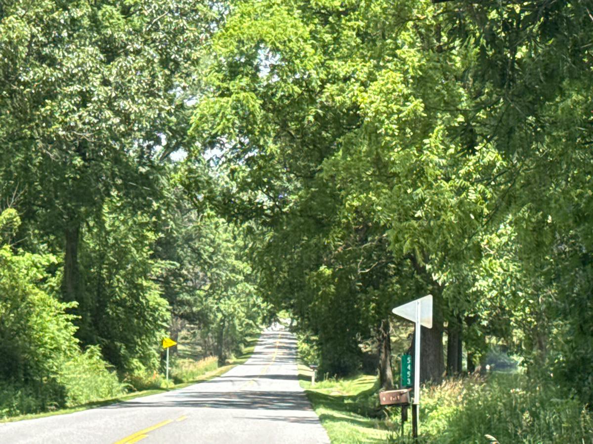 Morse Lake Ave, Alto, MI 49302