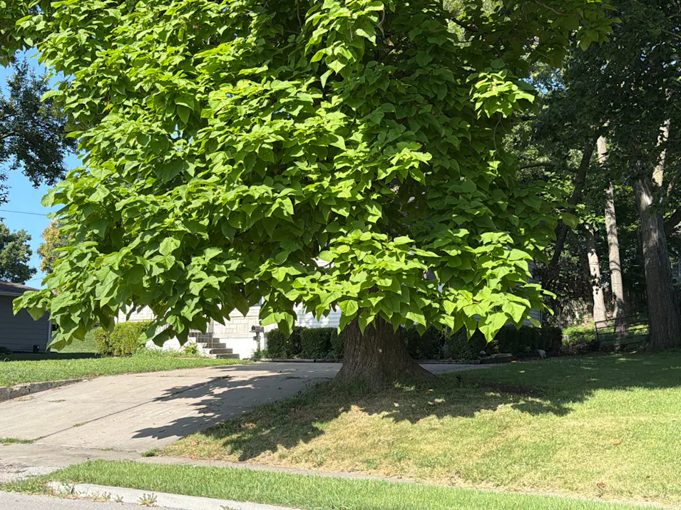 510 S Leonard St Liberty, MO 64068, Clay County