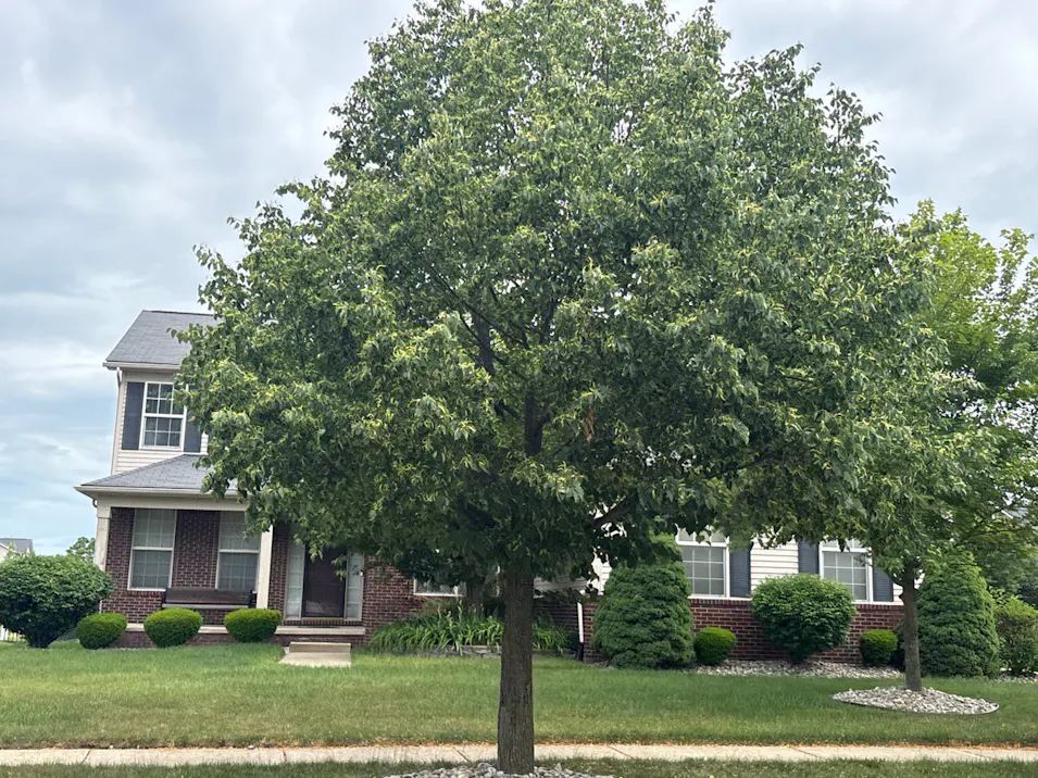 9281 Normandy Ln Ypsilanti, MI 48197, Washtenaw County