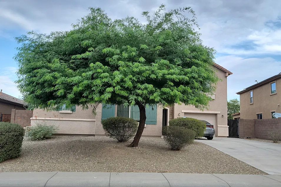 9614 N 182nd Ln Waddell, AZ 85355, Maricopa County