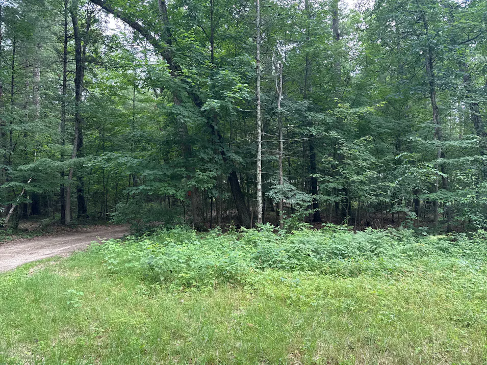 6606 Hill St Newaygo, MI 49337, Newaygo County