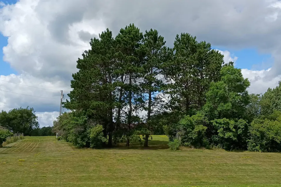 6081 Highway Chisholm, MN 55719, St. Louis County