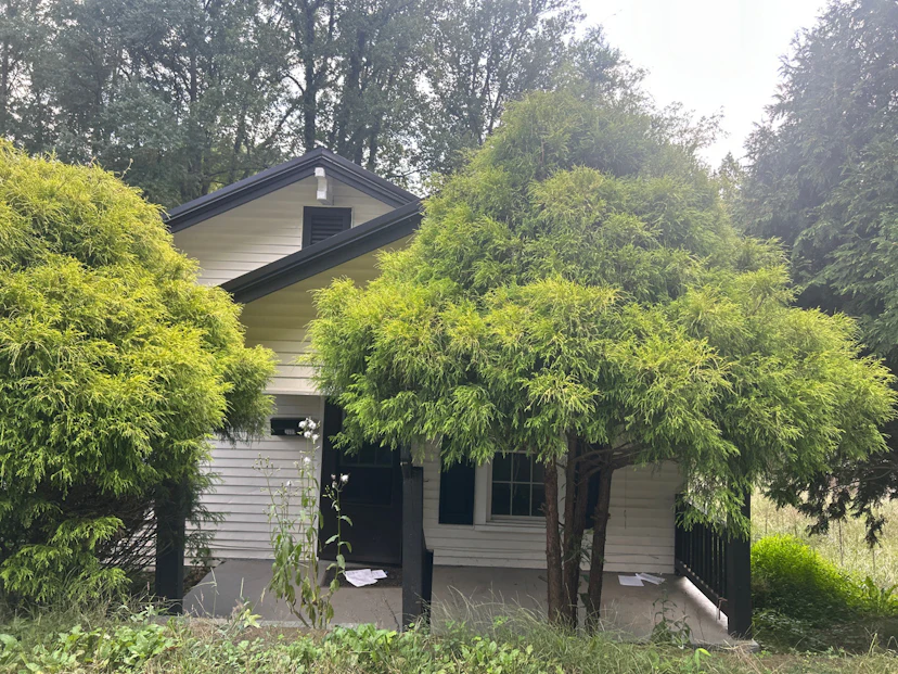 1609 Poplar Street Northwest