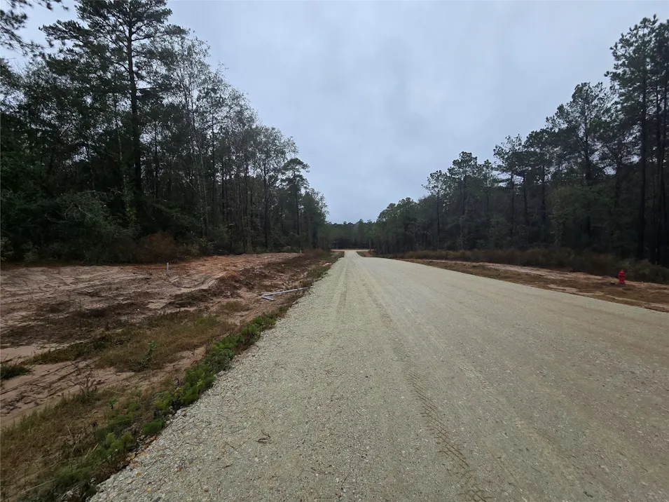 142 Splendid Road New Waverly, TX 77358, Walker County