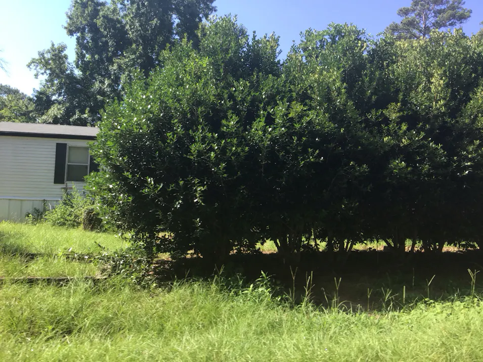 20486 Creekside Dr Chandler, TX 75758, Henderson County