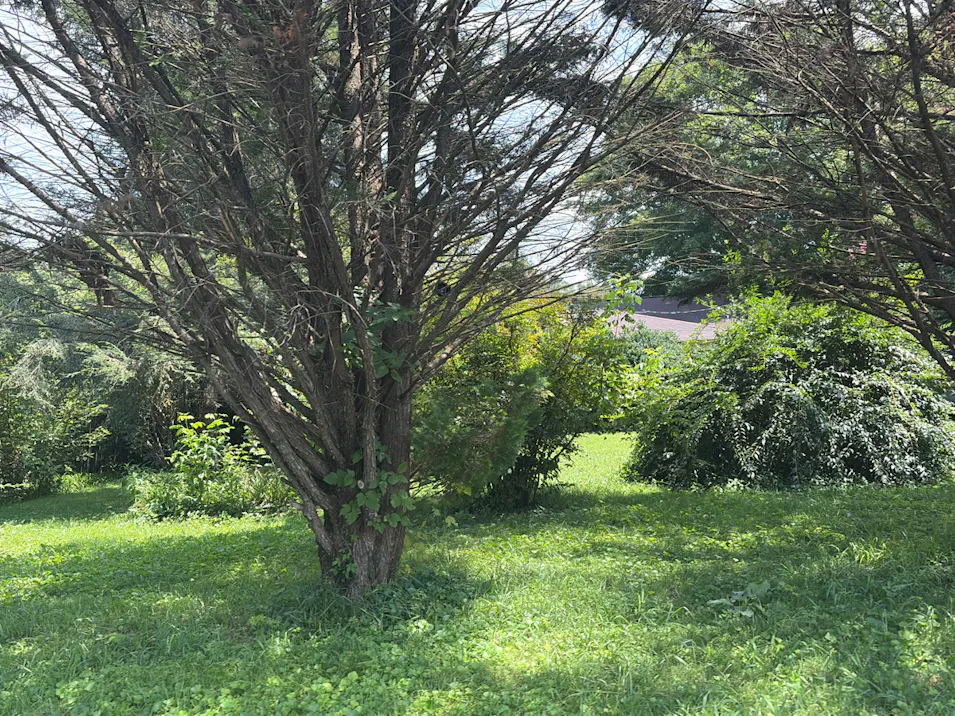 124 Roy Road Cosby, TN 37722, Cocke County