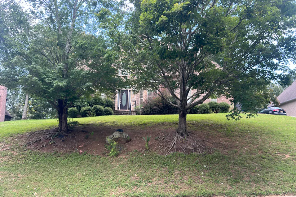 1711 Oak Park Lane Helena, AL 35080, Shelby County
