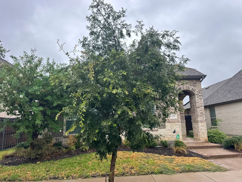 4620 Copper Mountain Trail