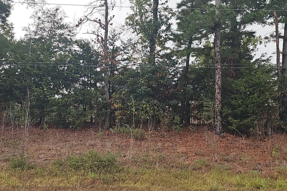 18598 Texas Hwy 11 E Winnsboro, TX 75494, Hopkins County