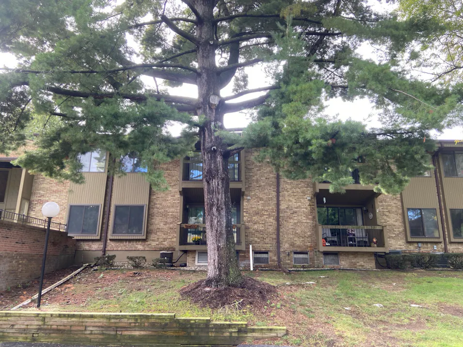 27333 Arborway Southfield, MI 48033, Oakland County