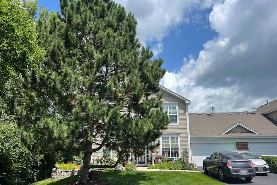 278 B Whitfield Dr Sugar Grove, IL 60554, Kane County