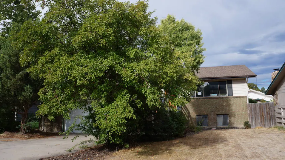 705 43rd Ave Greeley, CO 80634, Weld County