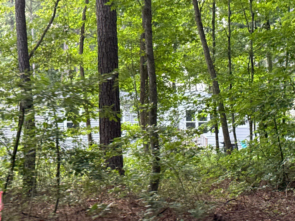 18743 Whaleys Corner Road Georgetown, DE 19947, Sussex County