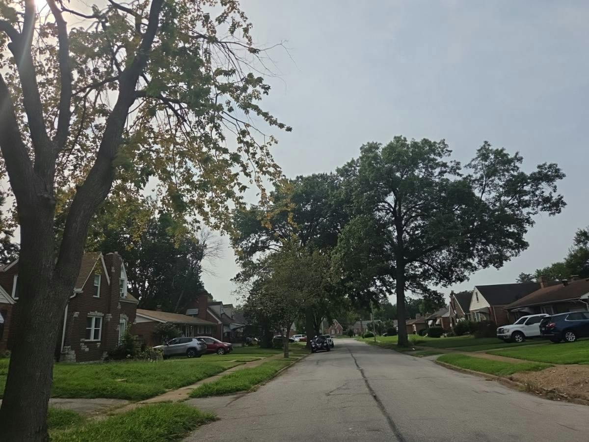 Belrue Ave, Saint Louis, MO 63130