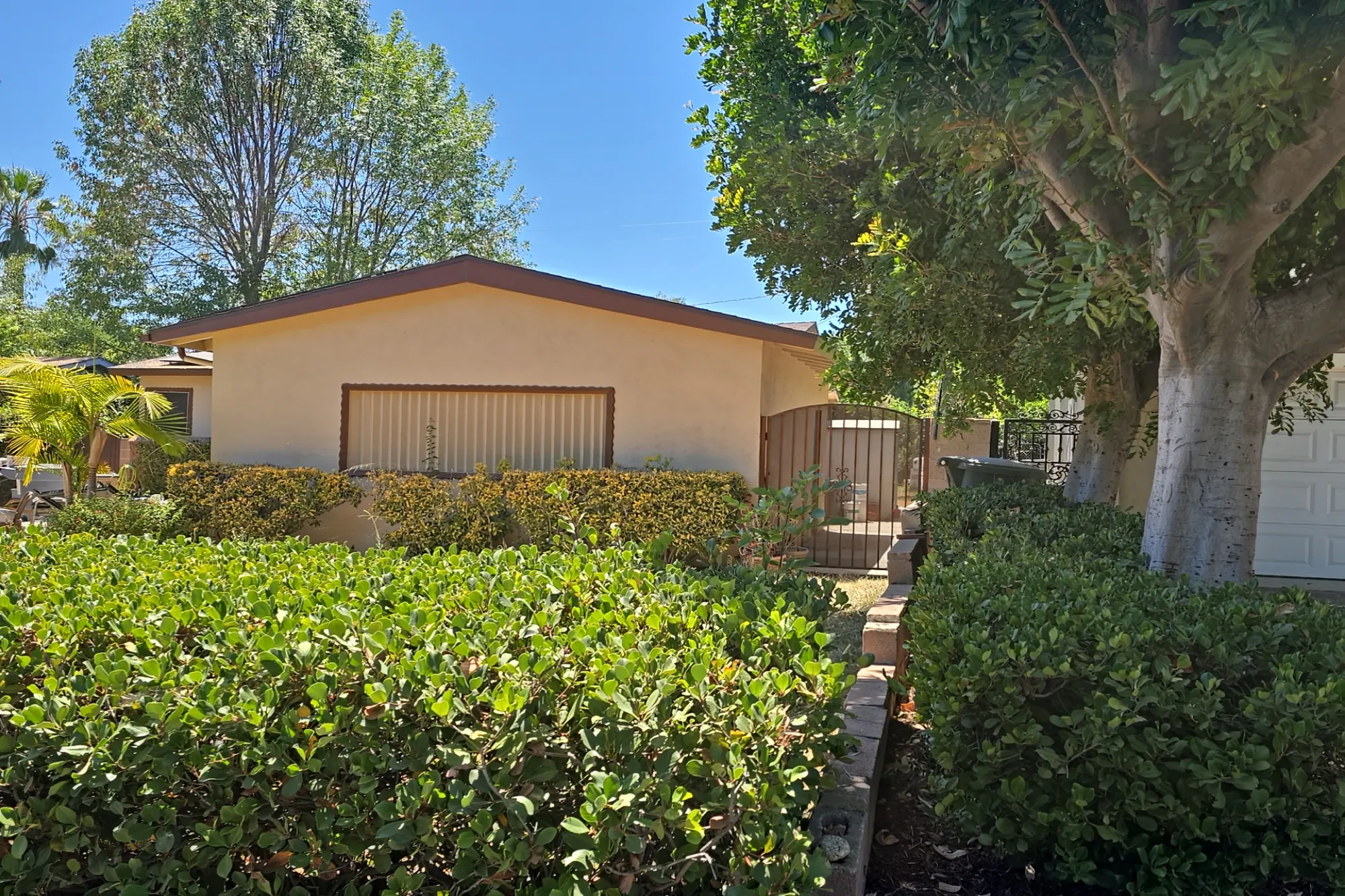 Rhodelia Ave, Claremont, CA 91711 #1