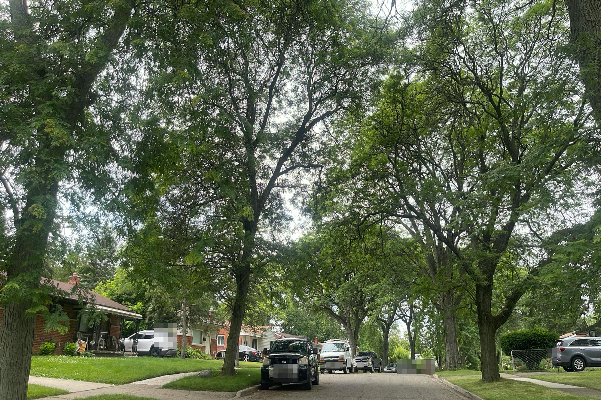 Linda Vista Dr, Pontiac, MI 48342