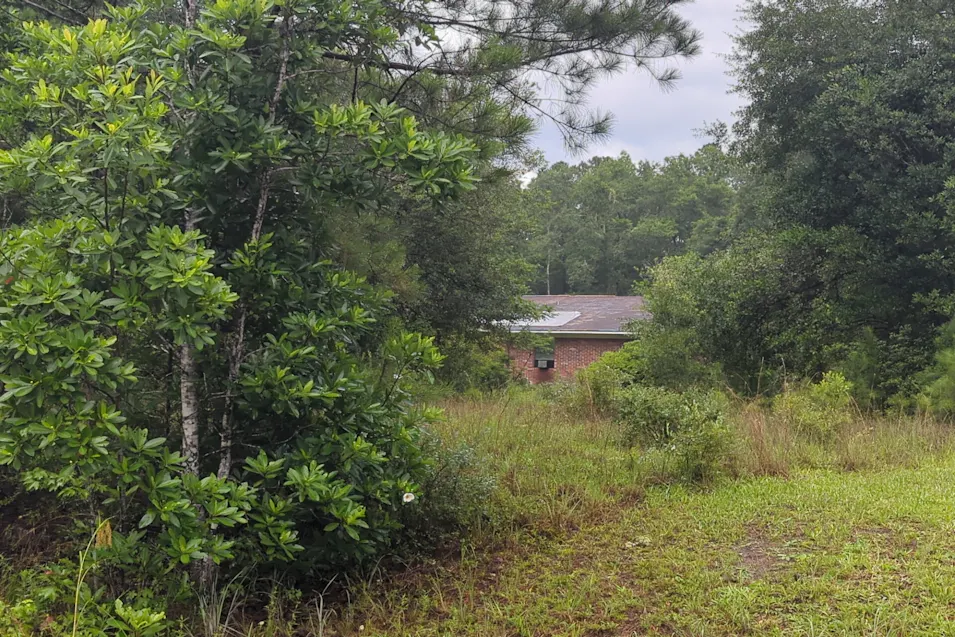 311 Colesburg Tompkins Road Woodbine, GA 31569, Camden County