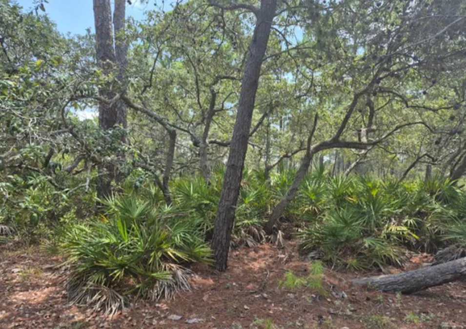 149 Price St Alligator Point, FL 32346, Wakulla County