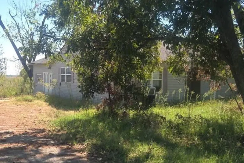 Highway 49 , Rector, AR 72461 #1