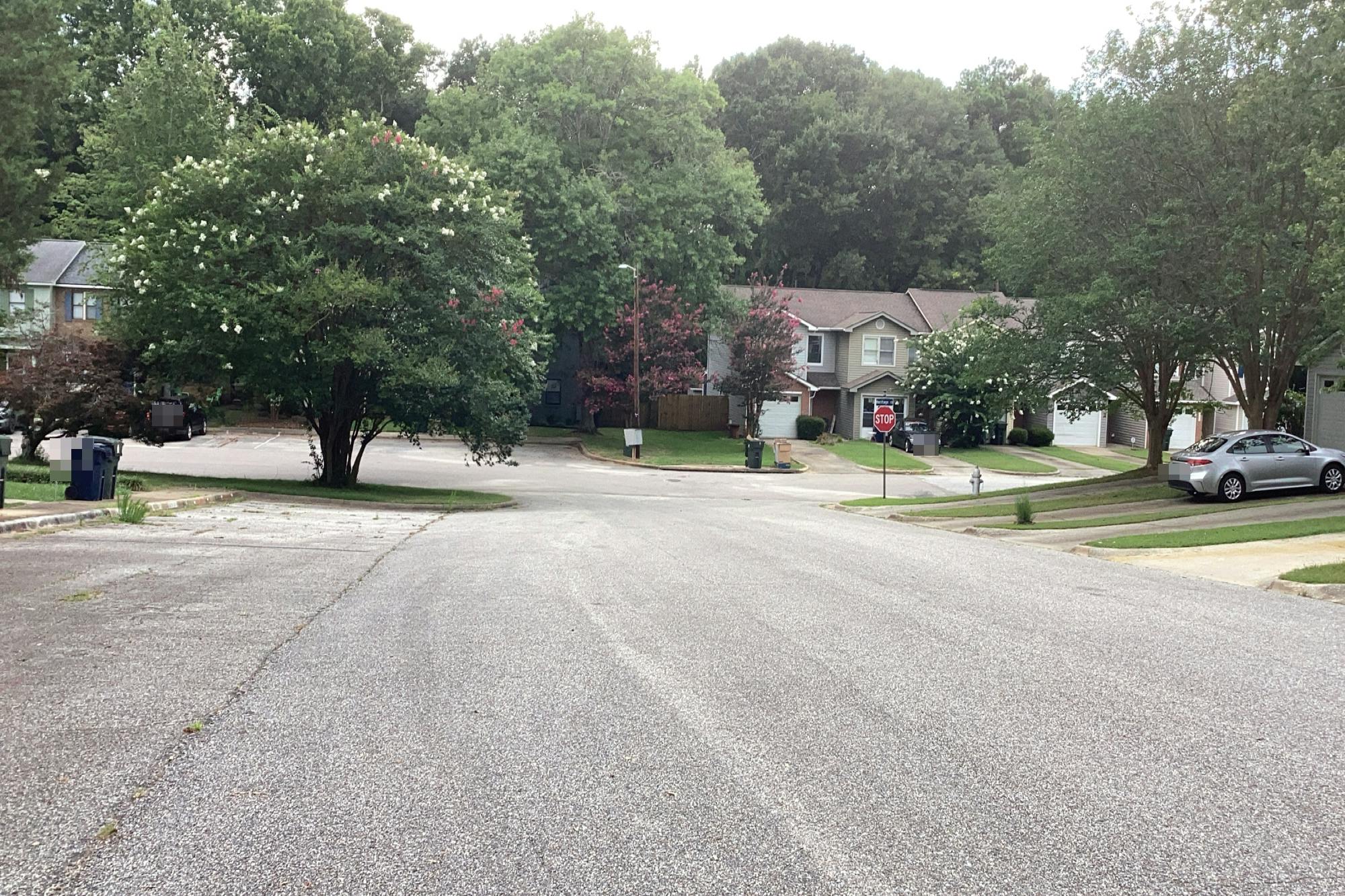 Fuller Ave, Auburn, AL 36830